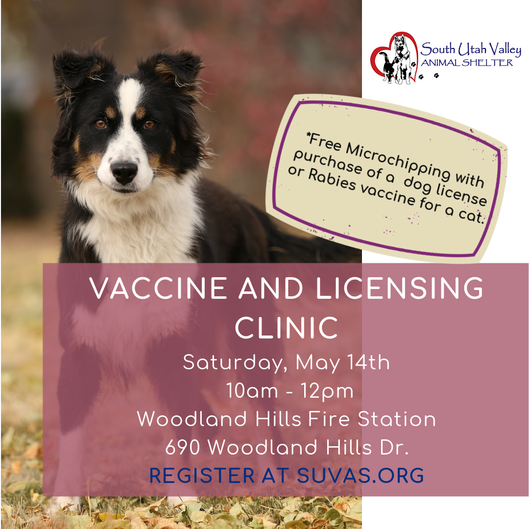 Flyer for pet and licensing clinic on May 14th